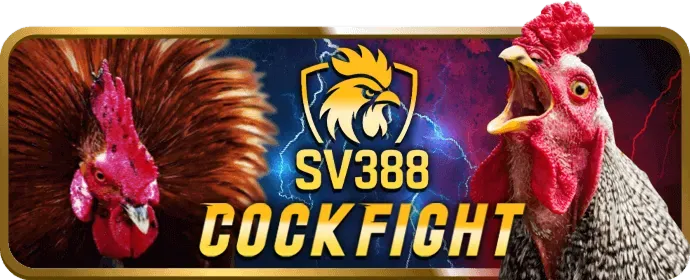 Hỗ trợ khách hàng alo789vn code